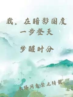 我，在暗影国度一步登天
