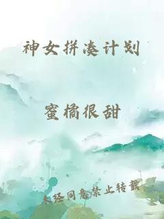 神女拼凑计划